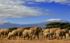 Amboseli + Kilimandjaro