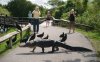 USA - Florida - Everglades