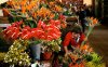Madeira - Funchal
