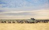 Masai Mara je pokračování Serengeti na Keňském území