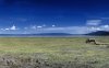 Lake Nakuru