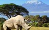 Amboseli + Kilimandjaro