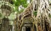 Prohm Temple