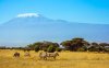 Amboseli + Kilimandjaro