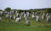 Carnac